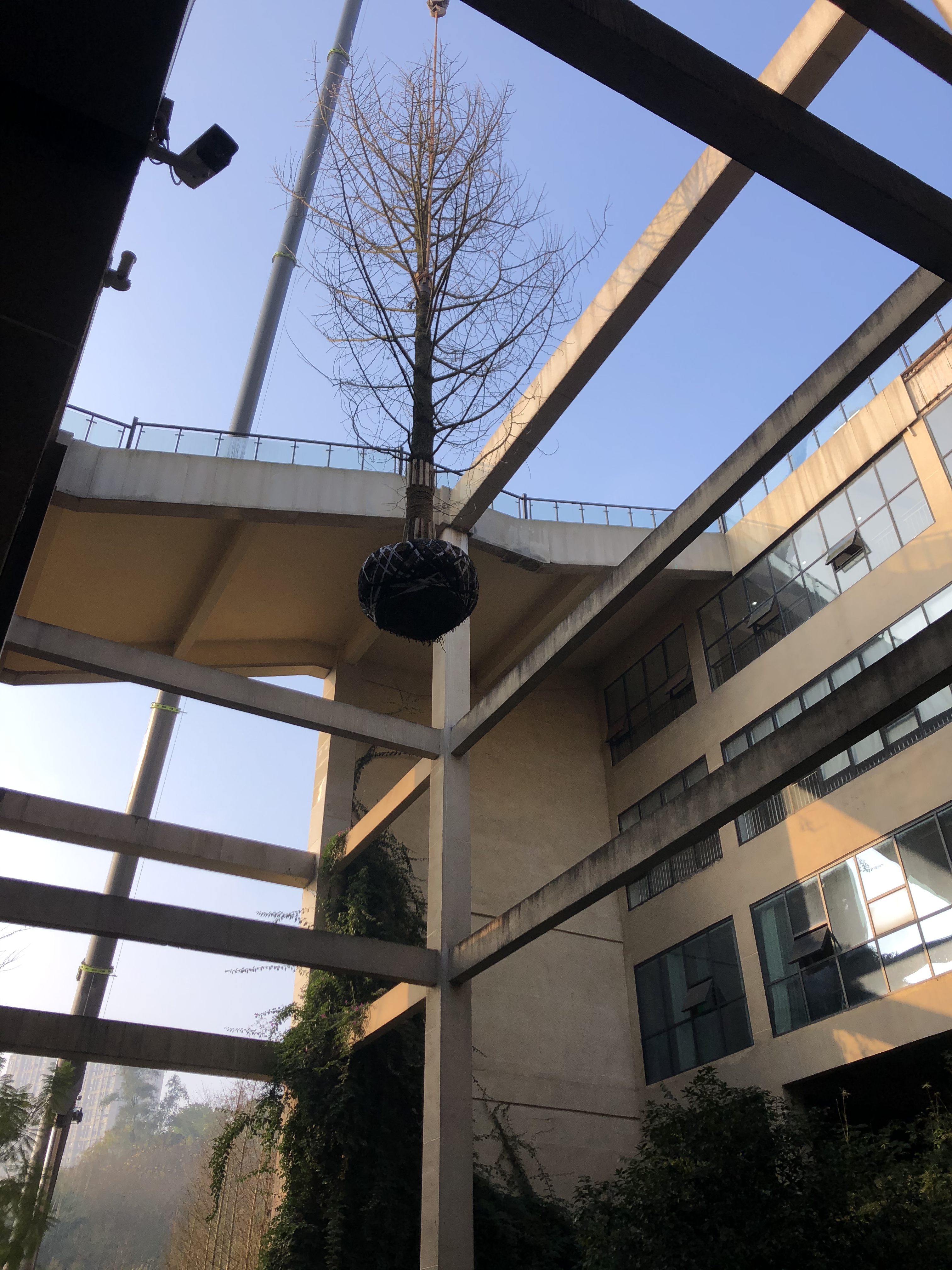 ���ι��A���y�ӷNֲ